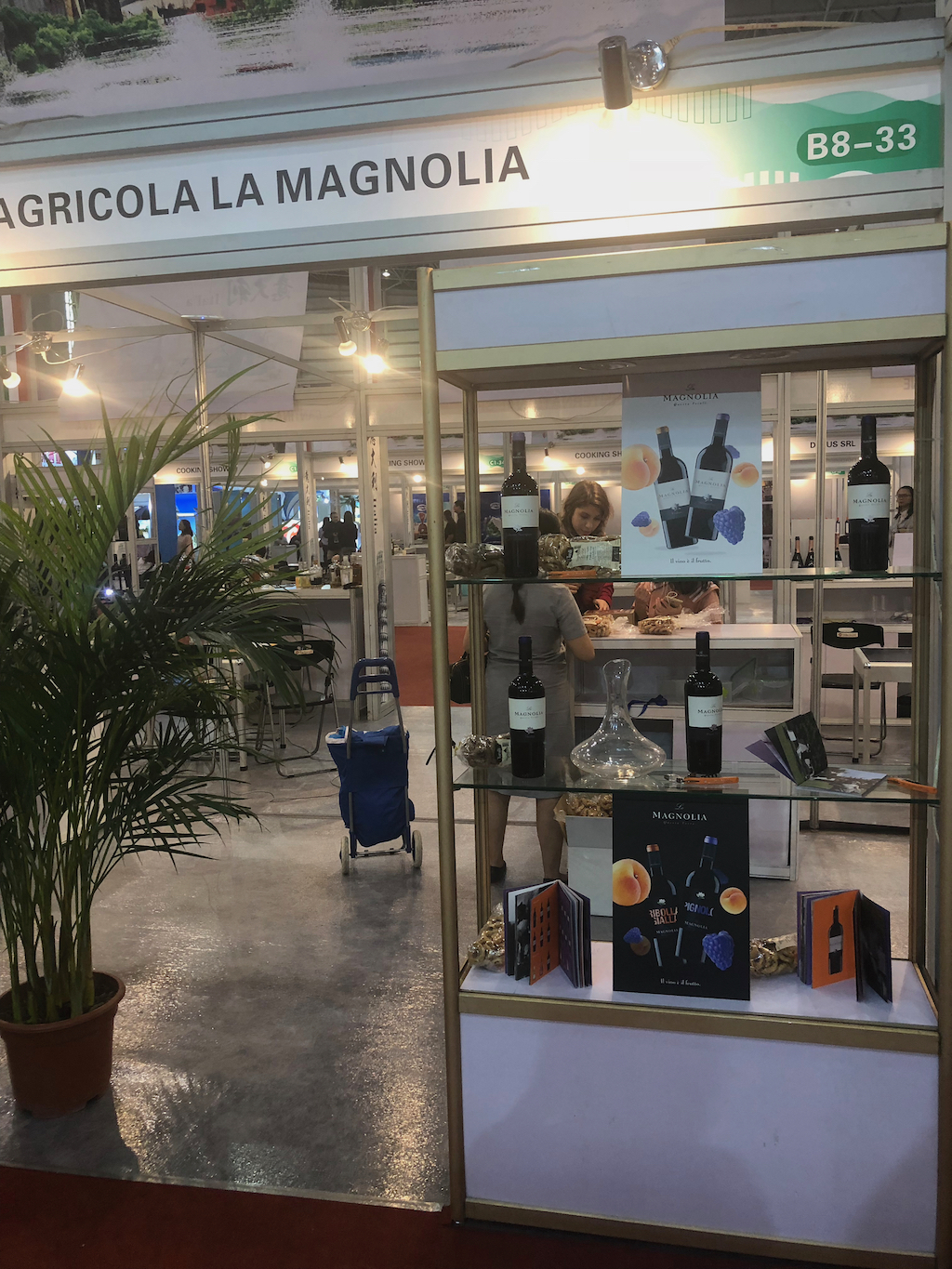 Vini La Magnolia a MSR Dongguan